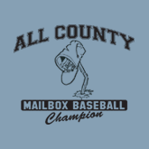 ALL COUNTY MAILBOX BASEBALL CHAMPION T-SHIRT