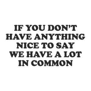 If You Don't Have Anything Nice To Say Then We Have A Lot In Common T-Shirt