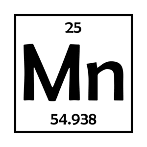 Mn Element - Minnesota T-Shirt