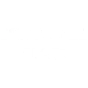 Don't bully me. I'll cum. Funny sexual offensive t-shirt