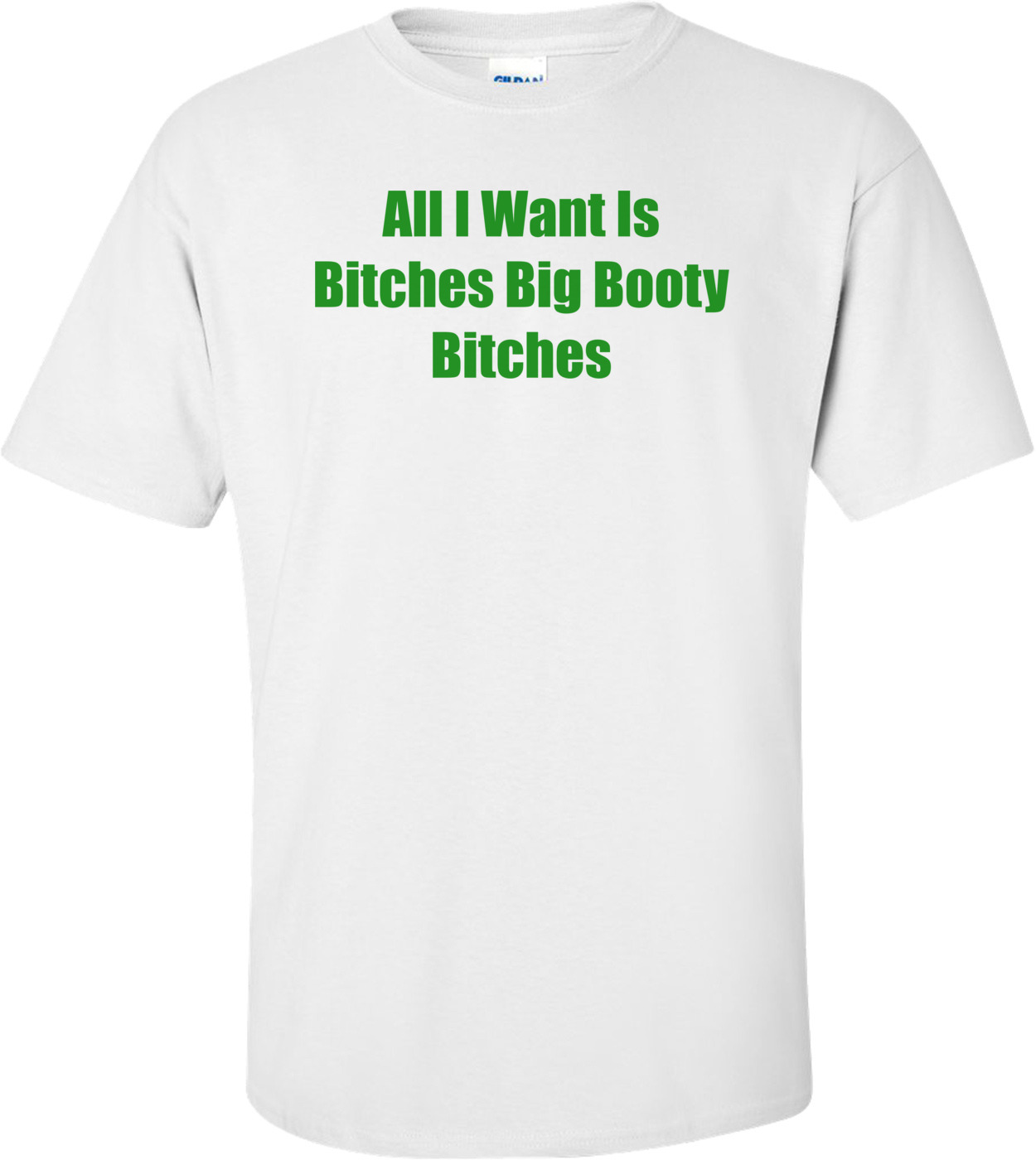 All I Want Is Bitches Big Booty Bitches shirt