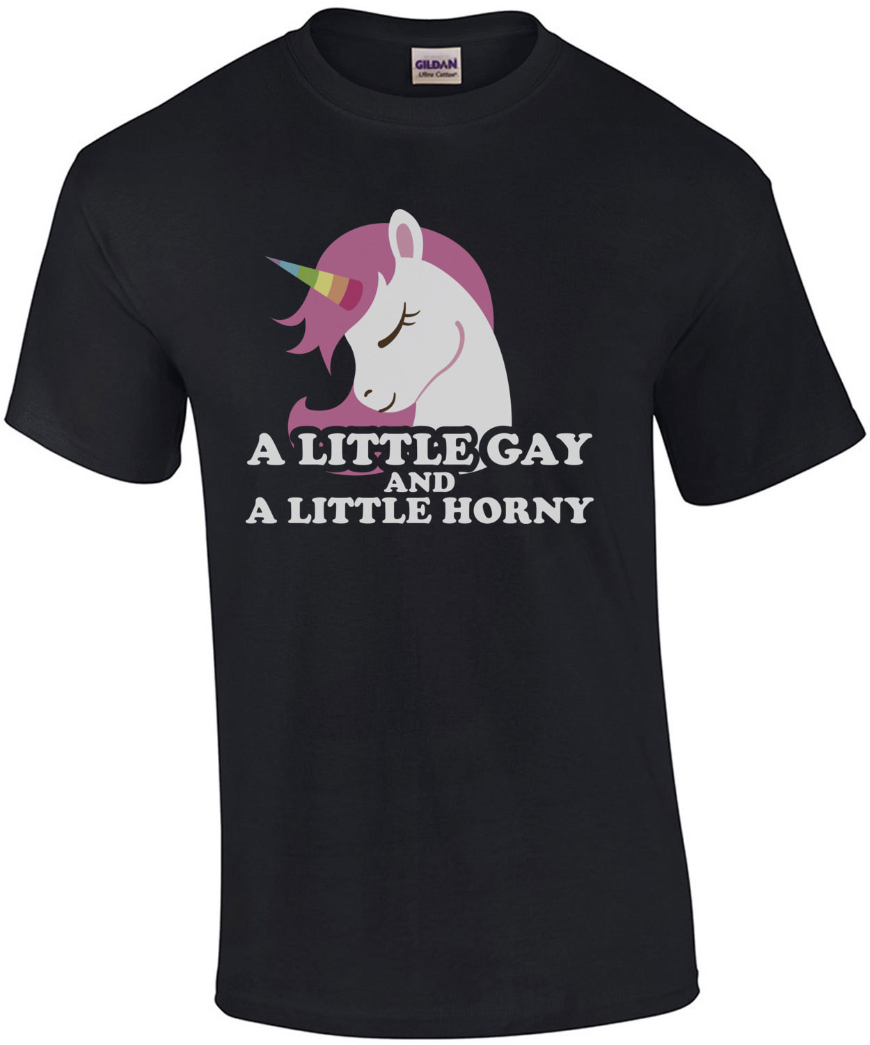 A little gay and a little horny - Gay Pride T-Shirt