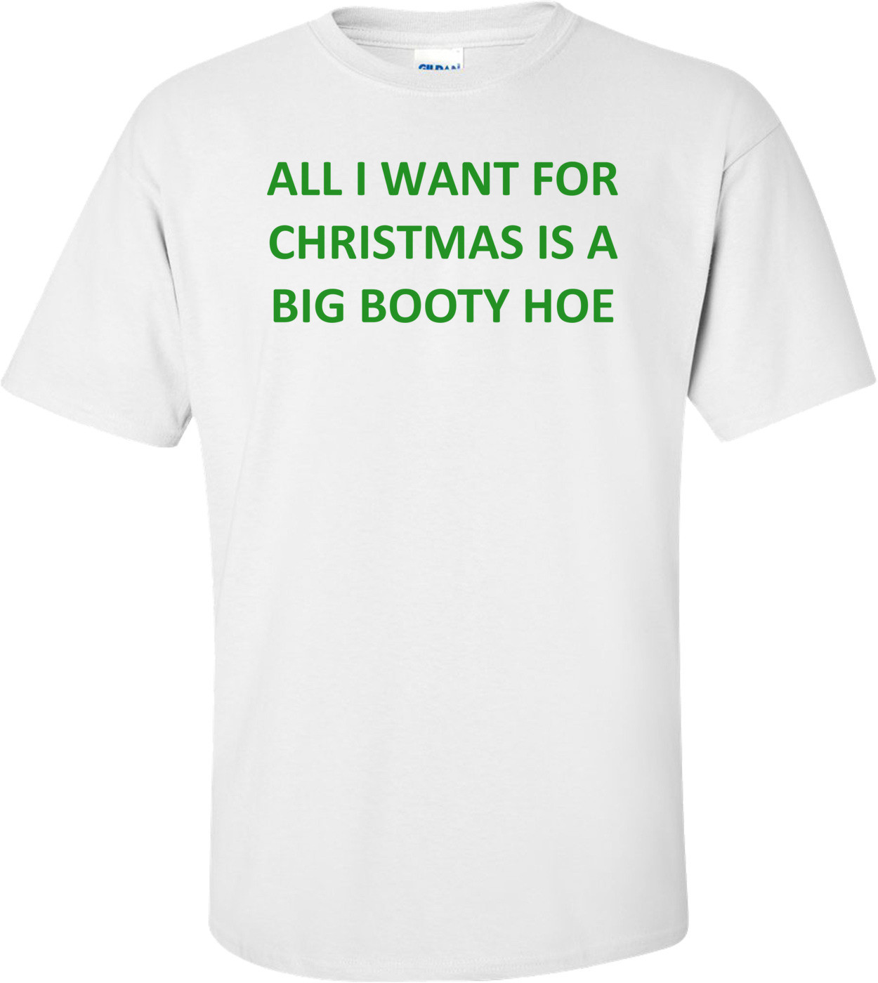 ALL I WANT FOR CHRISTMAS IS A BIG BOOTY HOE Shirt