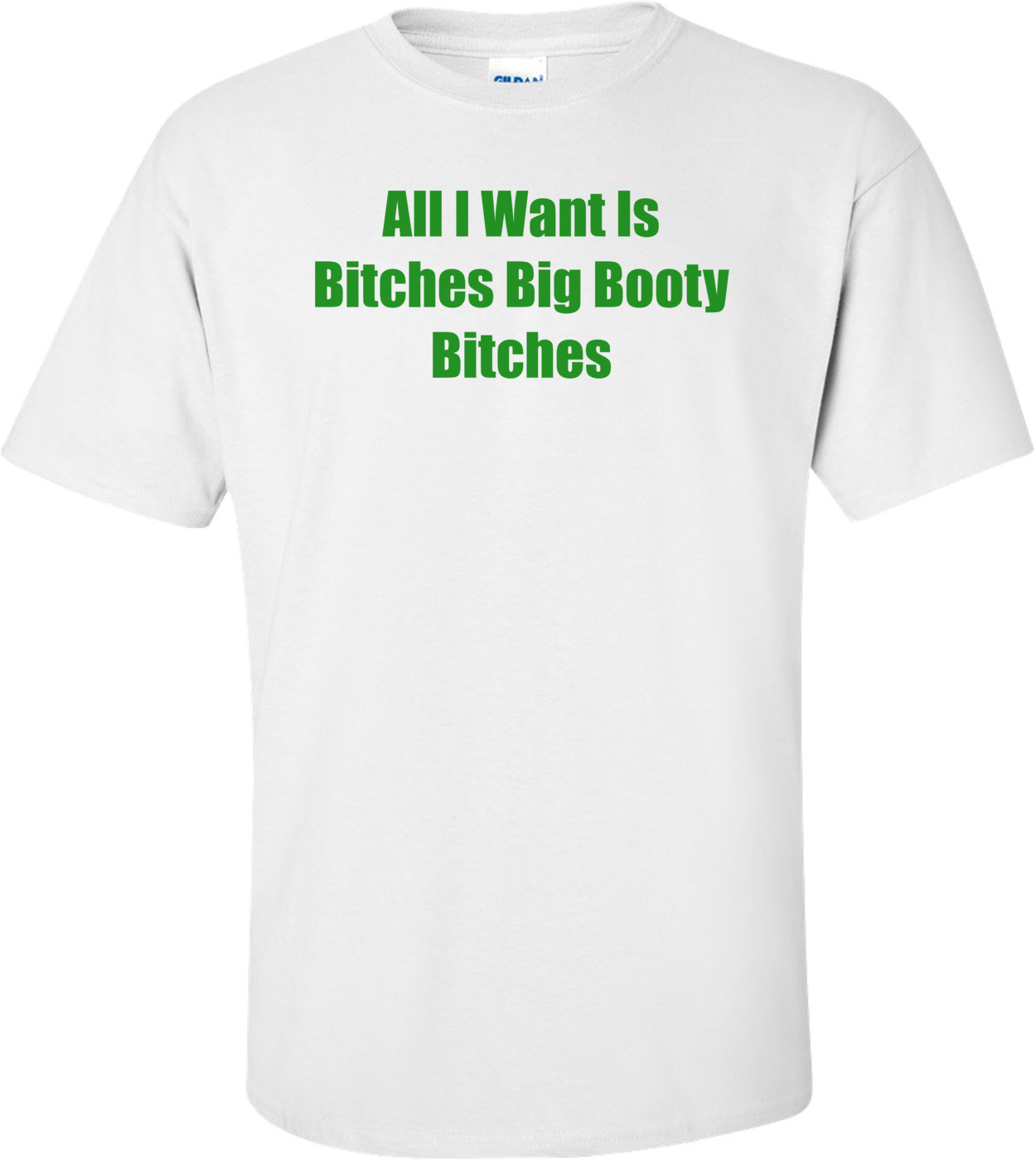 All I Want Is Bitches Big Booty Bitches Shirt