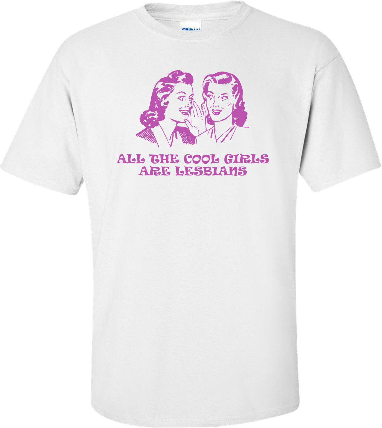 All The Cool Girls Are Lesbians T-shirt
