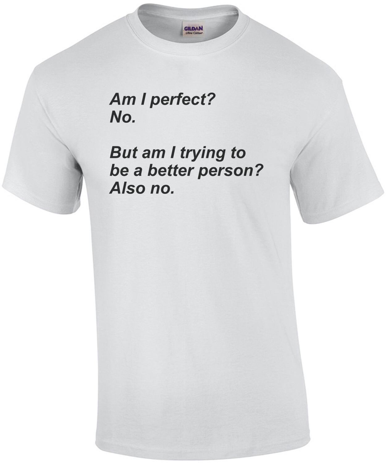 Am I perfect? No.  But am I trying to be a better person? Also no. Sarcastic T-Shirt
