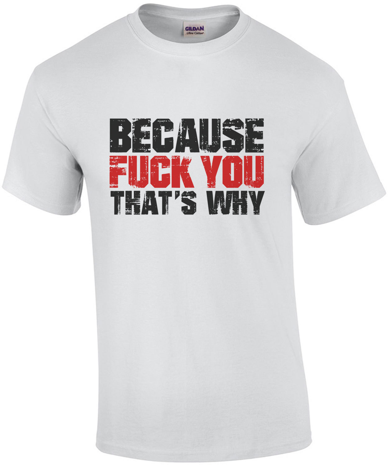 Because fuck you thats why - funny insult t-shirt