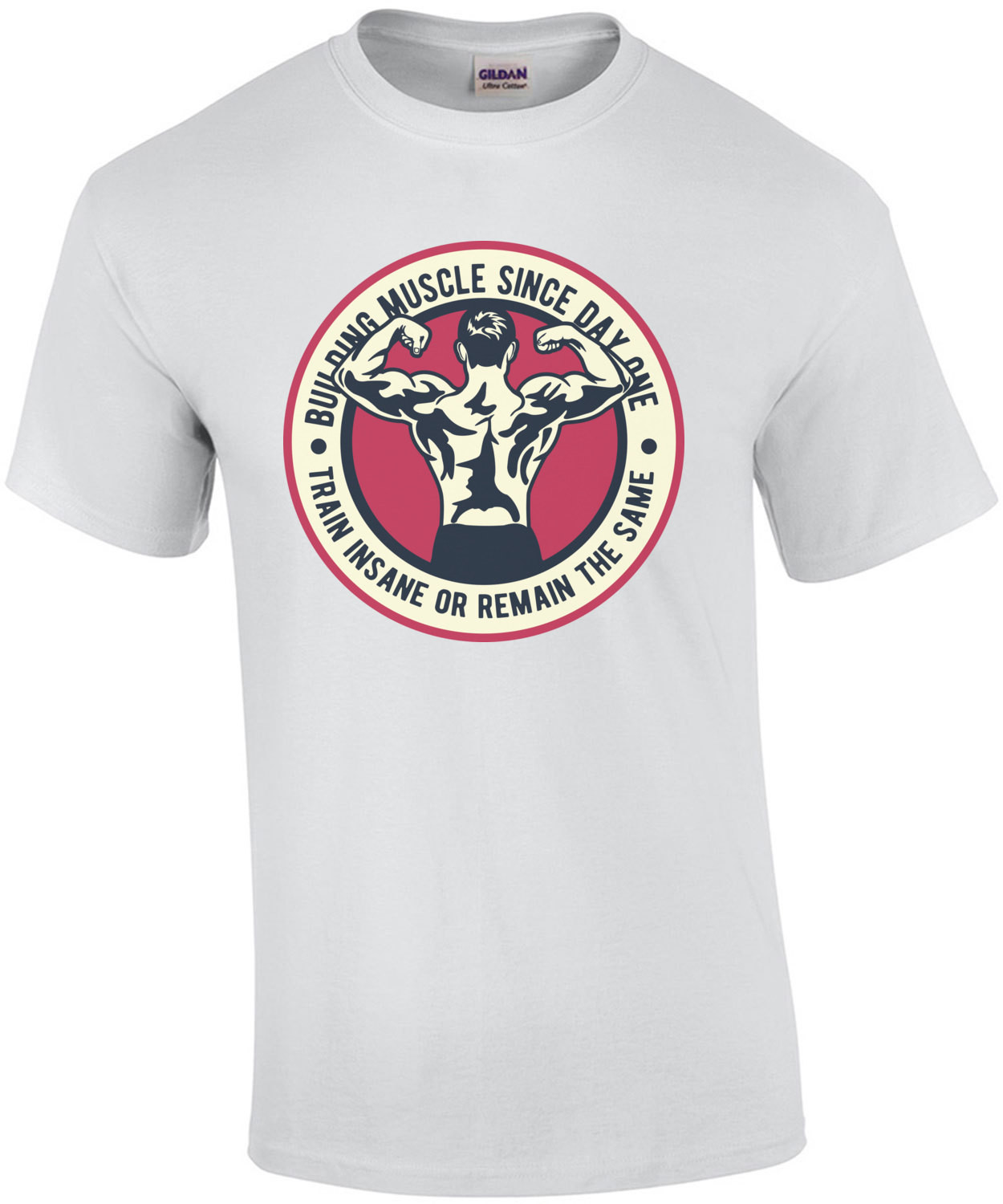 Building Muscle Since Day One Train Insane Or Remain The Same Exercise Working Out T-Shirt