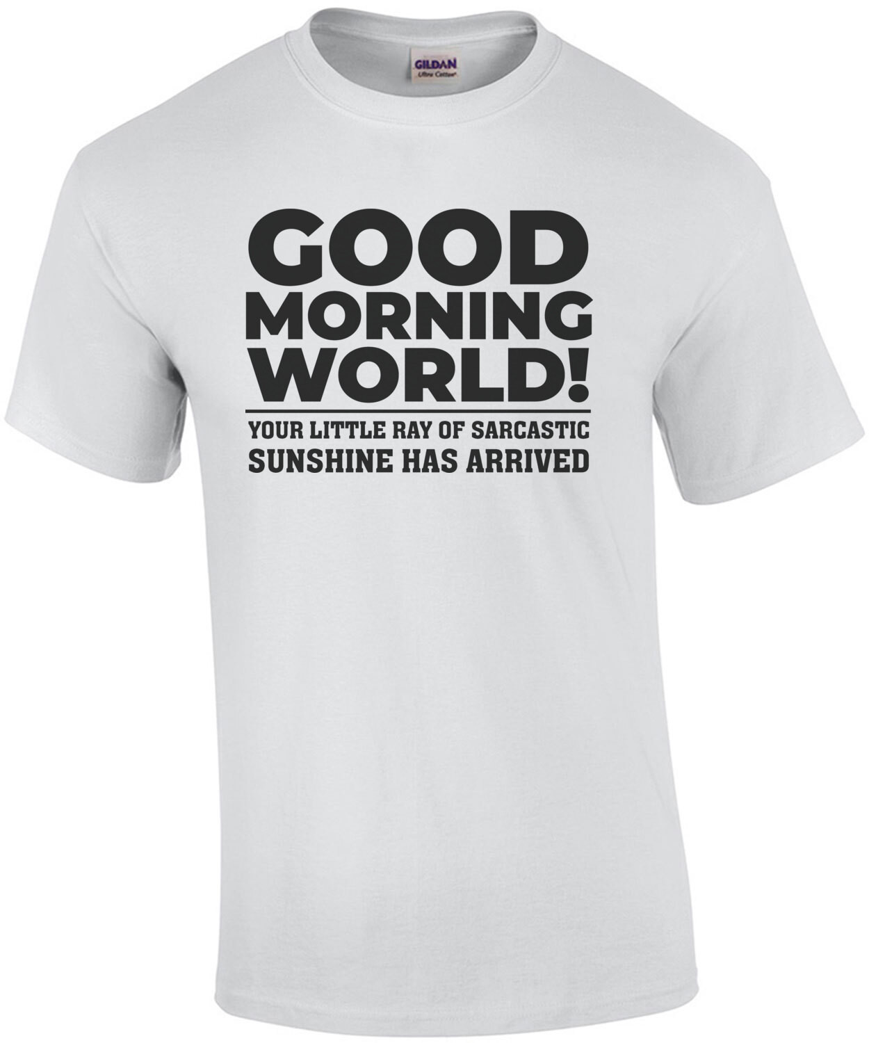 Good morning world! Your little ray of sarcastic sunshine has arrived - funny sarcastic t-shirt