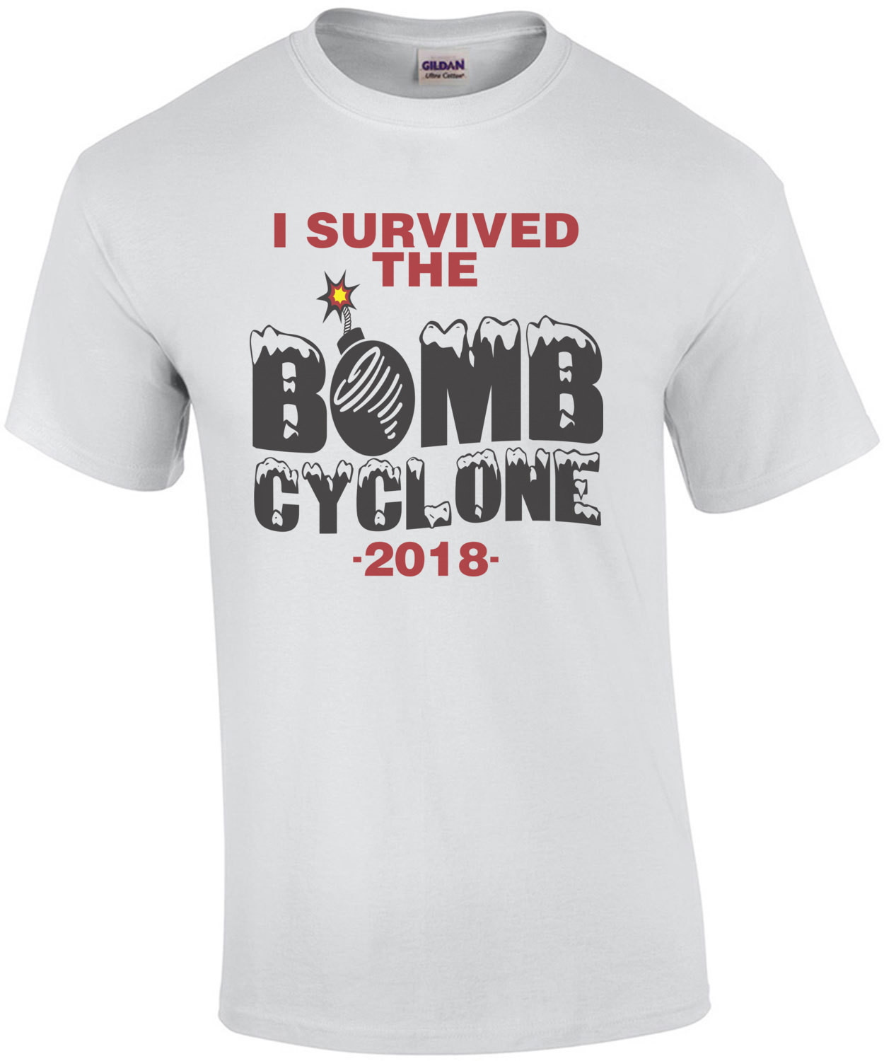 I Survived The Bomb Cyclone 2018 Funny Shirt