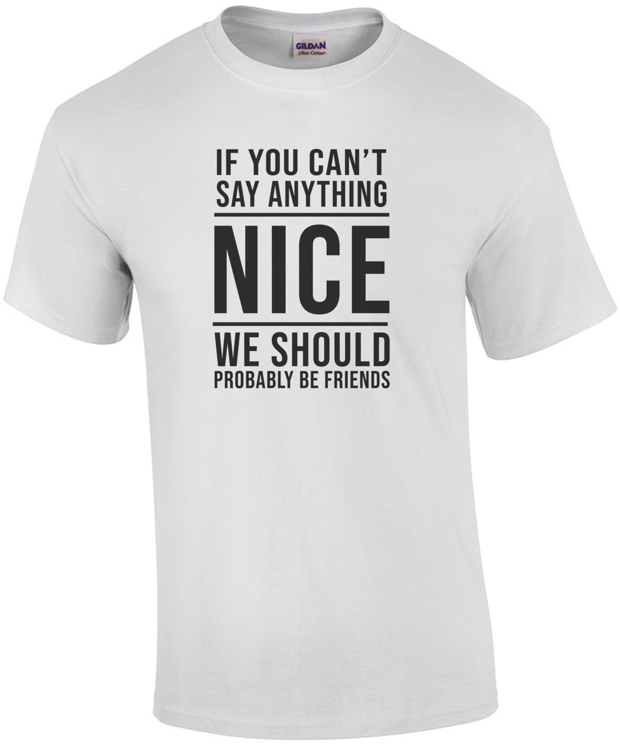 If you can't say anything nice - We should probably be friends - sarcastic t-shirt