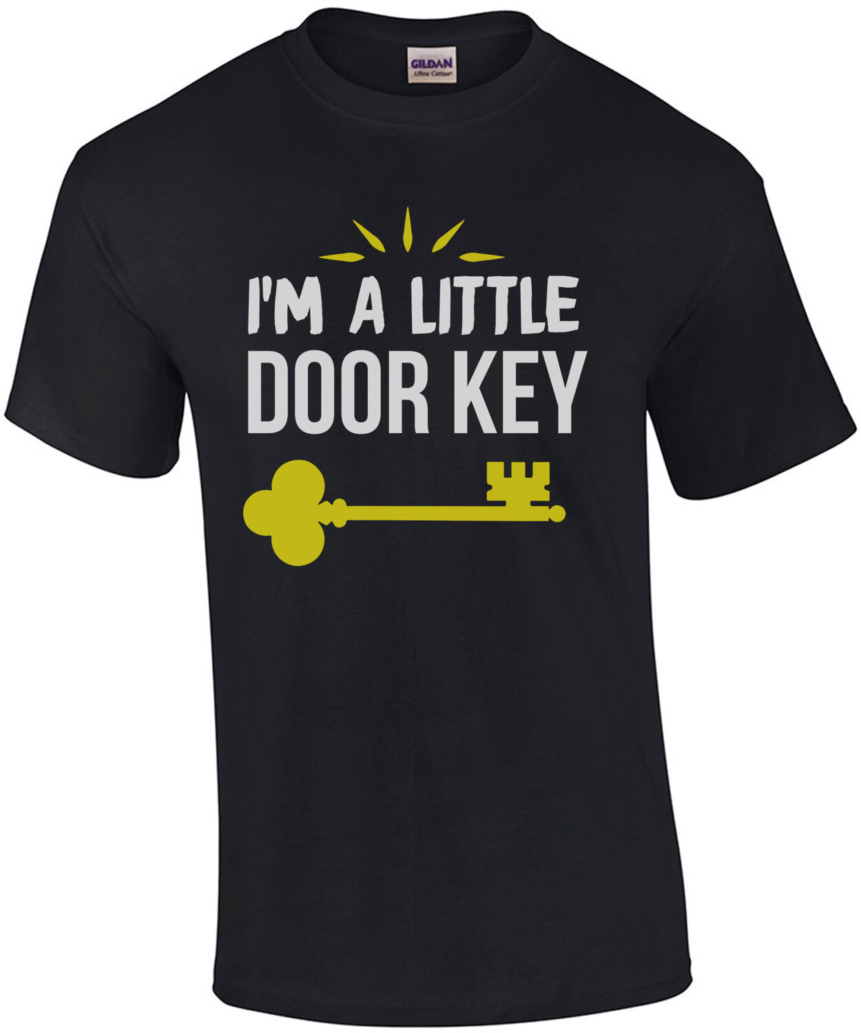 I'm a little door key - funny pun t-shirt
