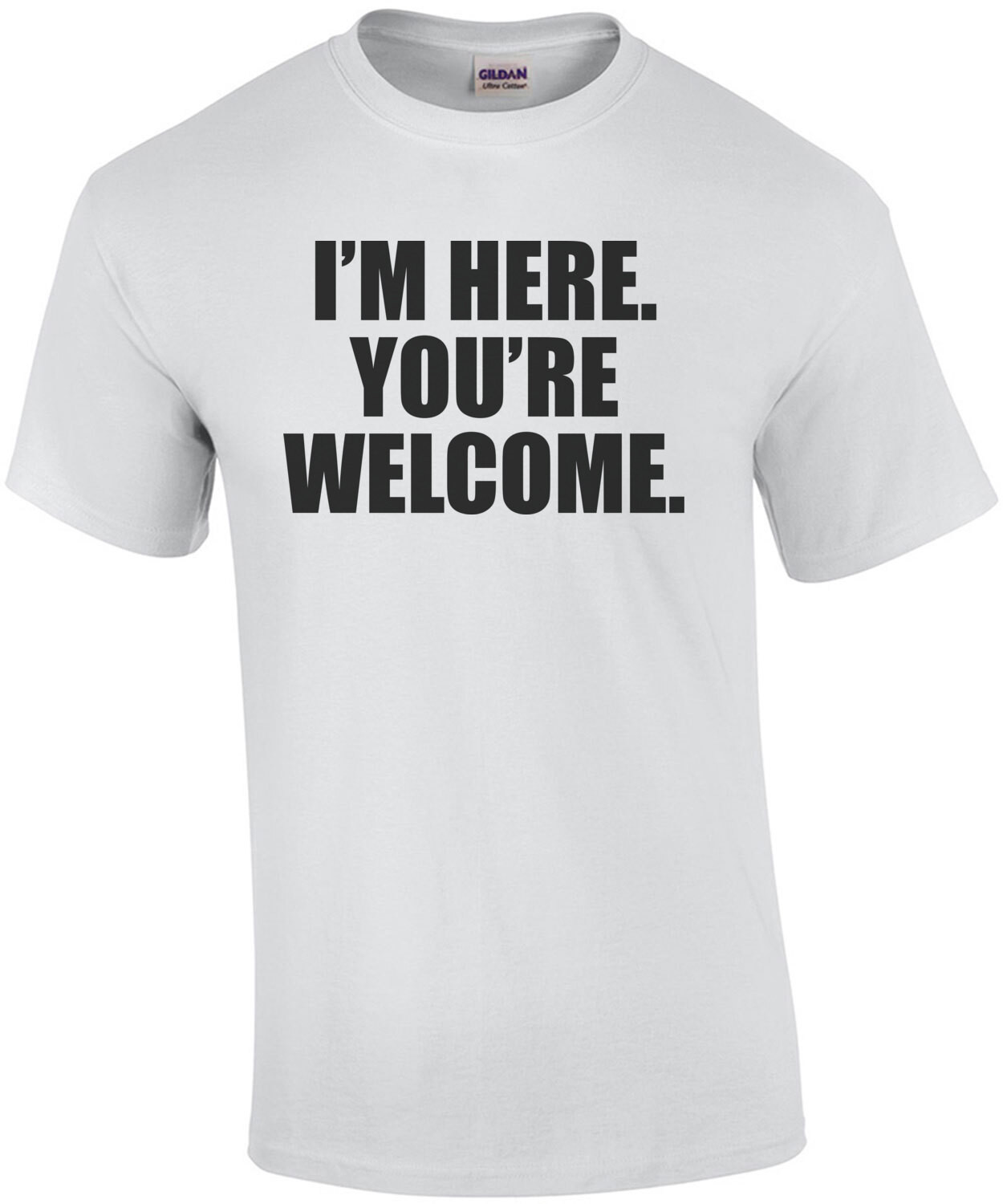 I'm here. You're Welcome. Funny sarcastic t-shirt