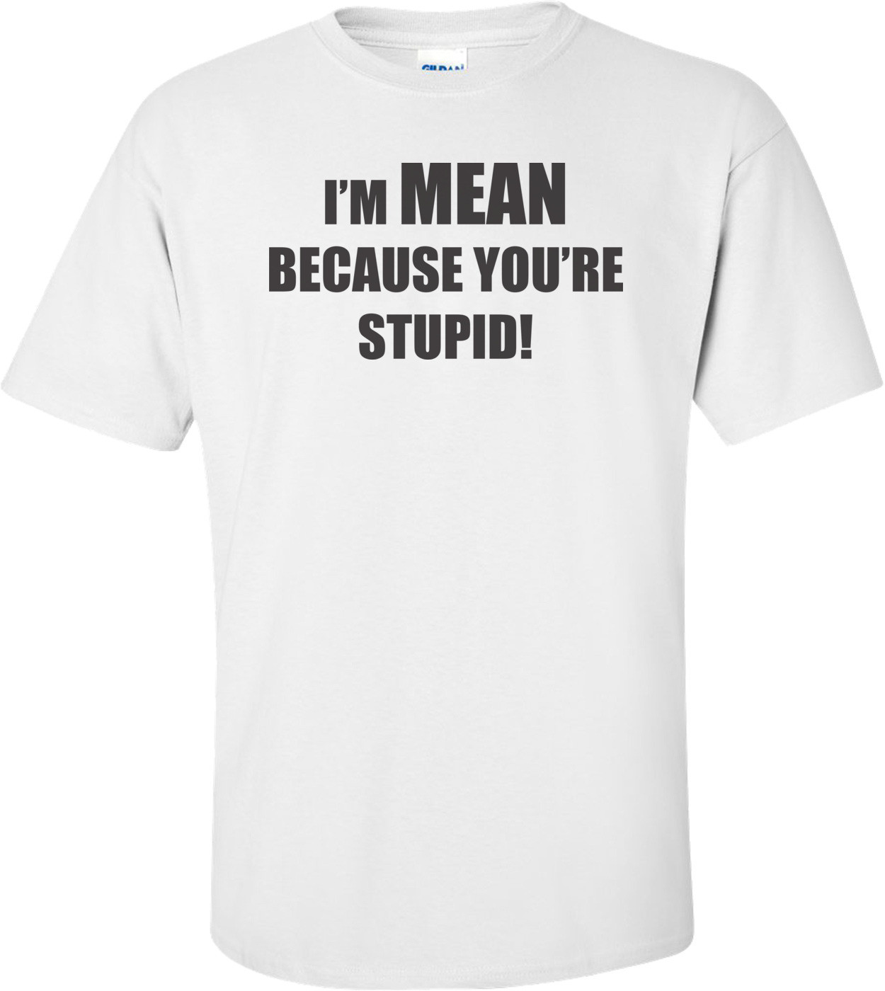 I'm Mean Because You're Stupid T-shirt