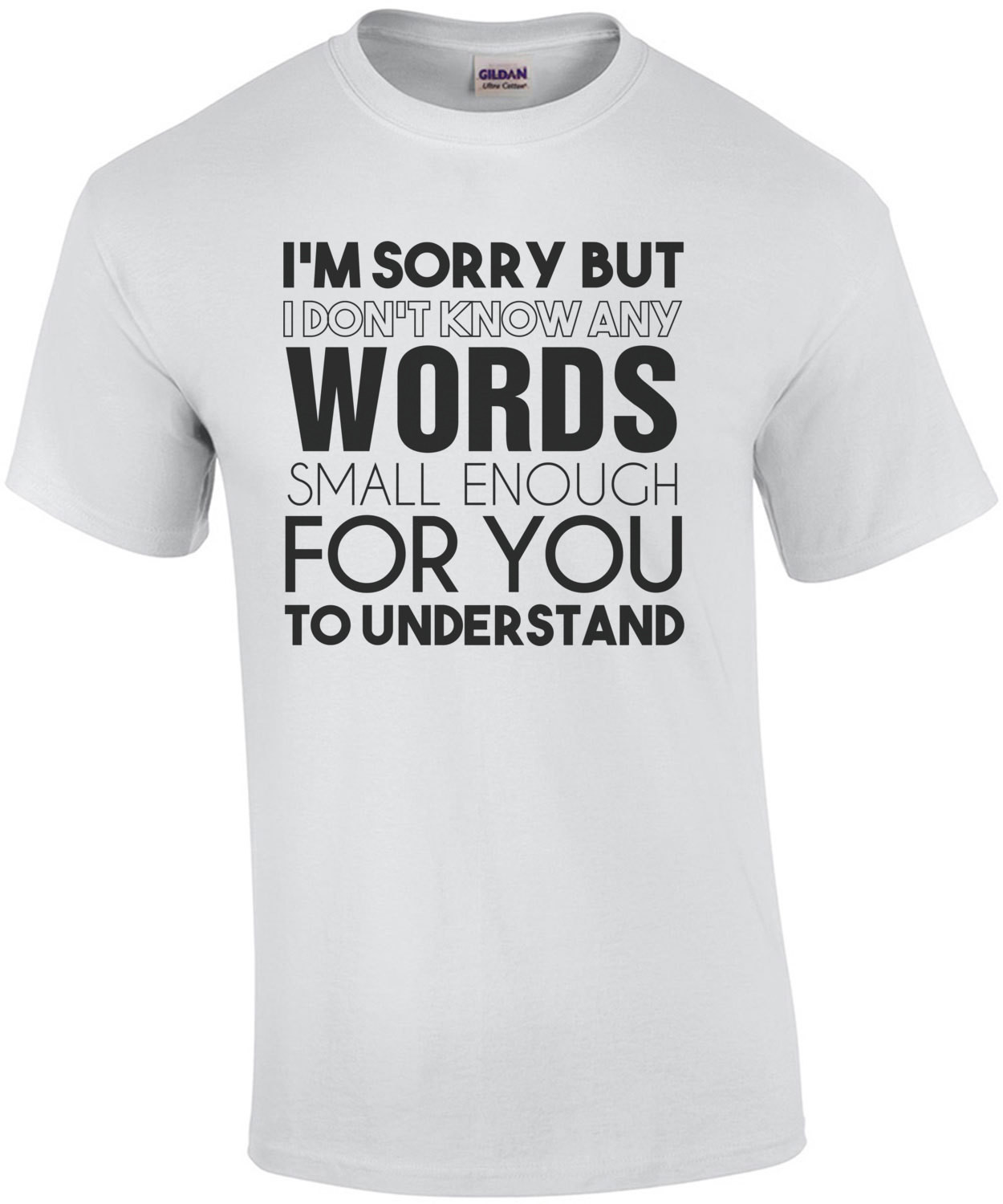 I'm sorry but I don't know any words small enough for you to understand. Funny sarcastic t-shirt