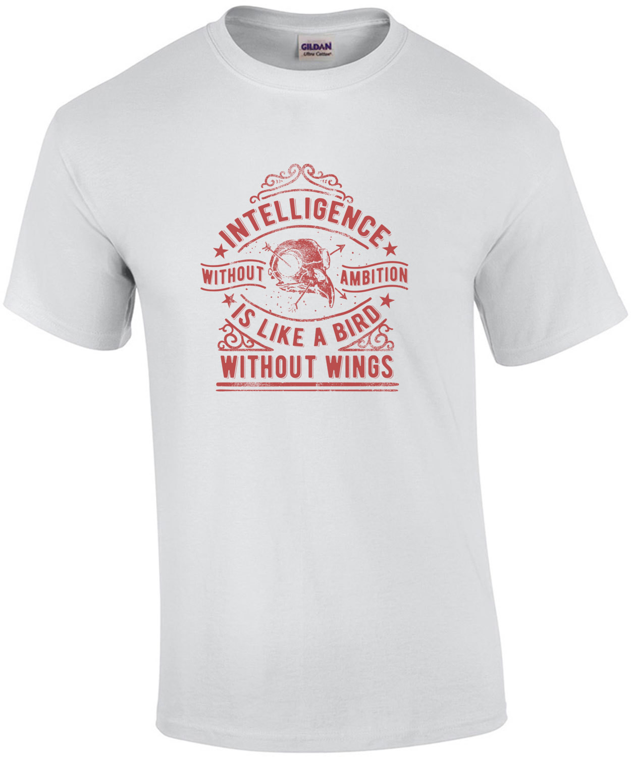Intelligence Without Ambition Is Like A Bird Without Wings T-Shirt