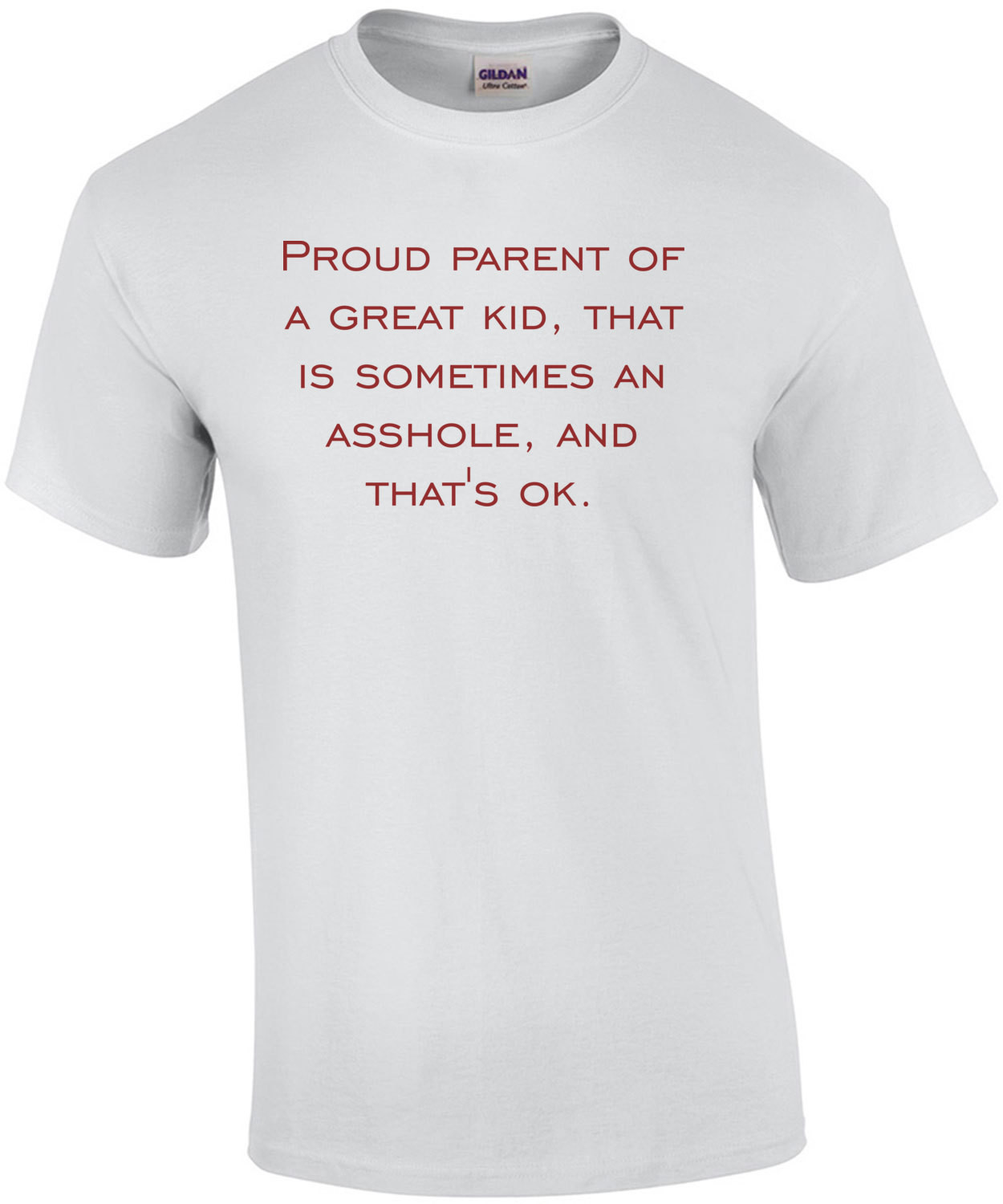 Proud parent of a great kid that is sometimes an asshole and that's ok - funny t-shirt
