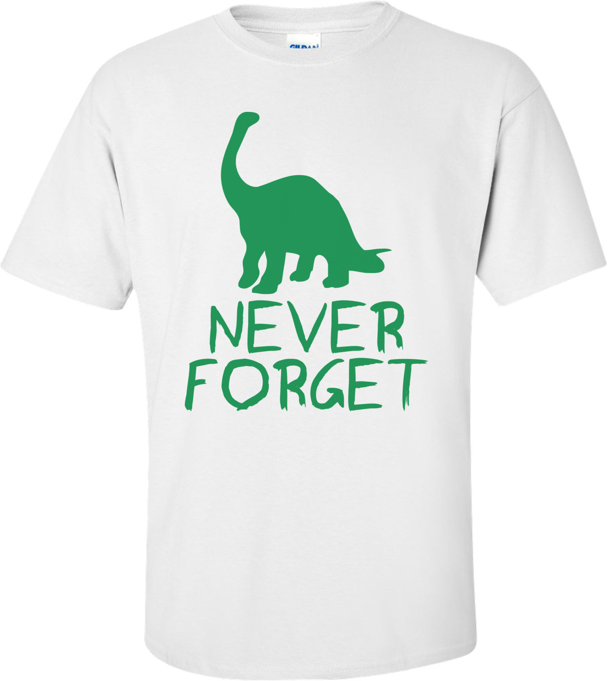 Never Forget The Dinosaurs Shirt