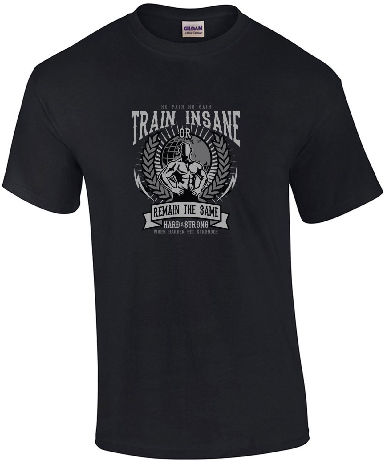 No Pain No Gain Train Insane Or Remain The Same Working Out Exercise T-Shirt