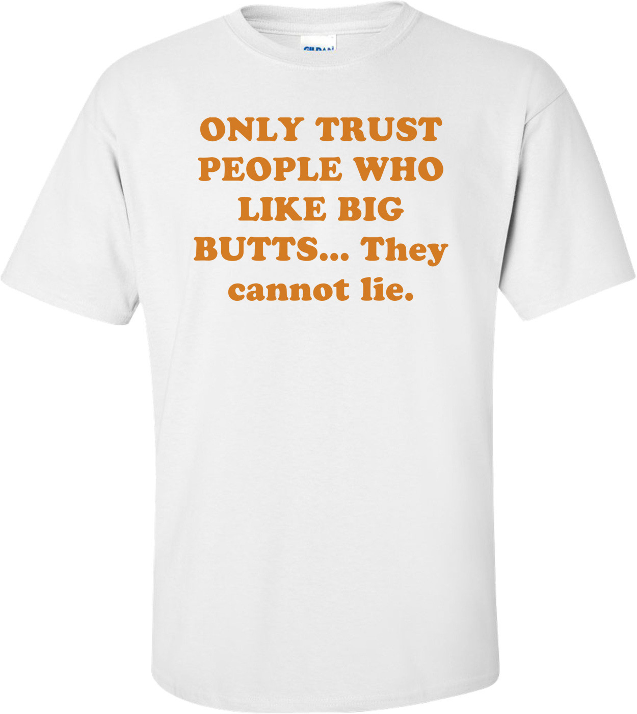 i like big butts i cannot lie lyrics