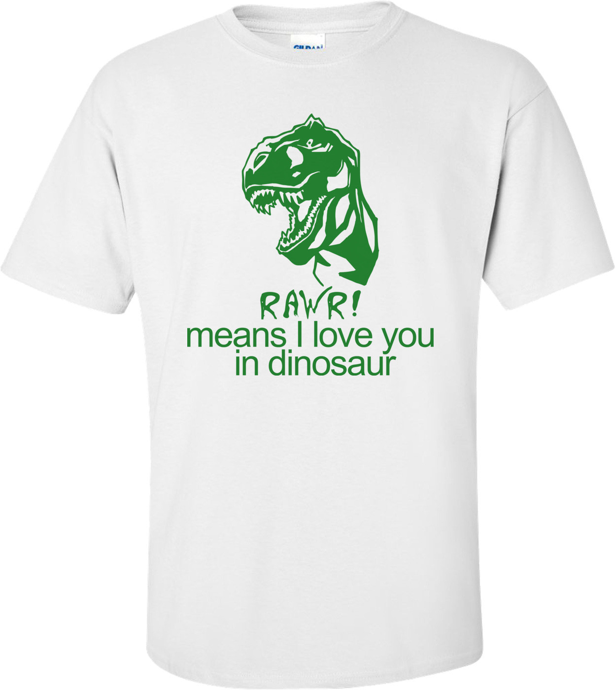 Rawr! Means I Love You In Dinosaur Funny T-shirt