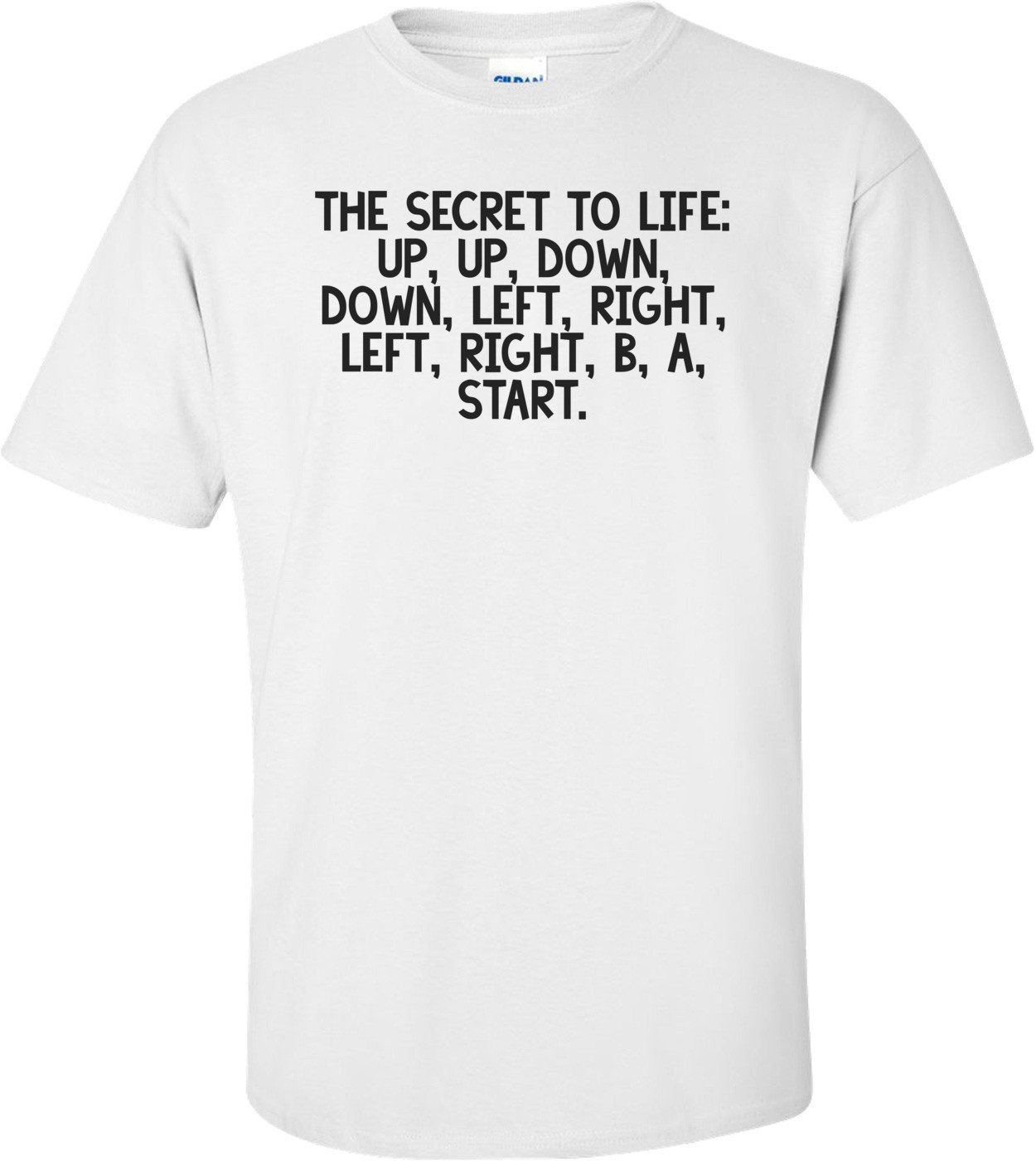 The secret to life: up, up, down, down, left, right, left, right, b, a, start. Shirt