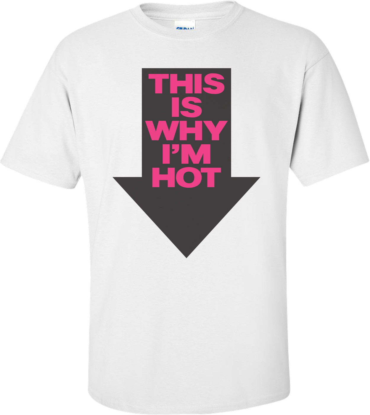 This Is Why I'm Hot Shirt