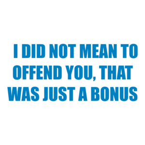   I DID NOT MEAN TO OFFEND YOU, THAT WAS JUST A BONUS Shirt