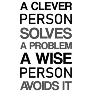 A clever person solves a problem a wise person avoids it - funny t-shirt
