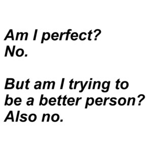 Am I perfect? No.  But am I trying to be a better person? Also no. Sarcastic T-Shirt