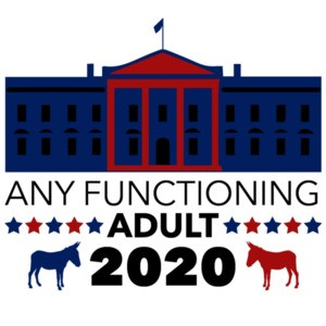 Any Functioning adult - 2020 - Funny 2020 Election Political T-Shirt