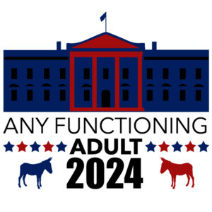 Any Functioning adult - 2024 - Funny 2020 Election Political T-Shirt