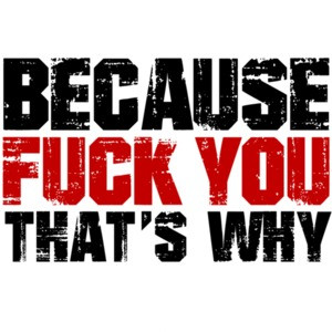 Because fuck you thats why - funny insult t-shirt