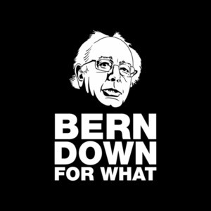 Bern Down For What Bernie Sanders T-Shirt