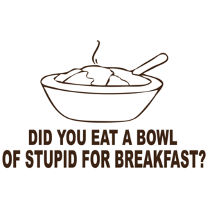 Did You Eat A Bowl Of Stupid For Breakfast Funny T-shirt