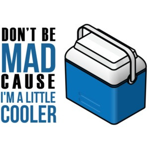 Don't be mad cause i'm a little cooler t-shirt