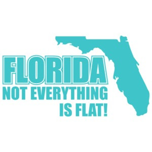 Florida Not Everything Is Flat T-shirt