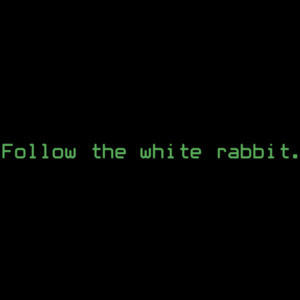 Follow the white rabbit. The Matrix - 90's T-Shirt