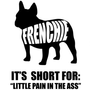 Frenchie - It's short for little pain in the ass - Frenchie / French Bulldog t-shirt