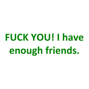 FUCK YOU! I have enough friends. Shirt