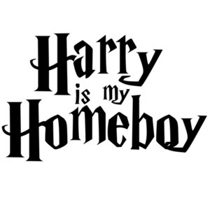 Harry is my homeboy - Harry Potter t-shirt