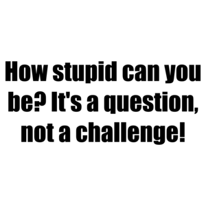 How stupid can you be? It's a question, not a challenge! Shirt