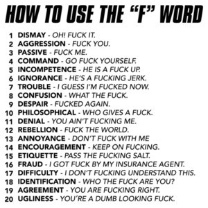 How to use the F Word - funny insult t-shirt