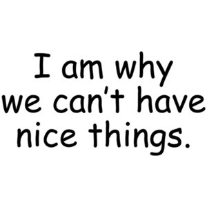I Am Why We Can't Have Nice Things. - Kid's Shirt