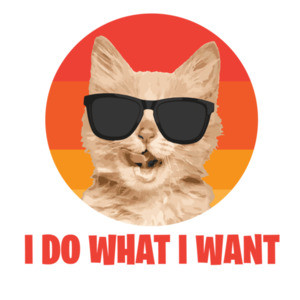 I do what I want Funny Cat T-Shirt