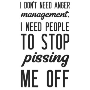 I don't need anger management. I need people to stop pissing me off. funny t-shirt
