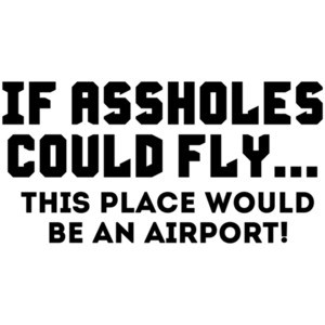 If Assholes Could Fly, This Place Would Be An Airport! Shirt