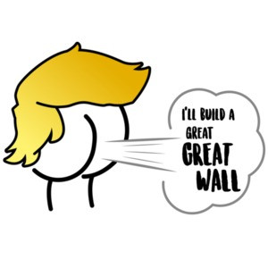 I'll build a great great wall - Anti trump t-shirt