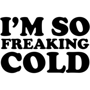 I'm so freaking cold - funny t-shirt