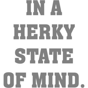 In a herky state of mind - iowa t-shirt